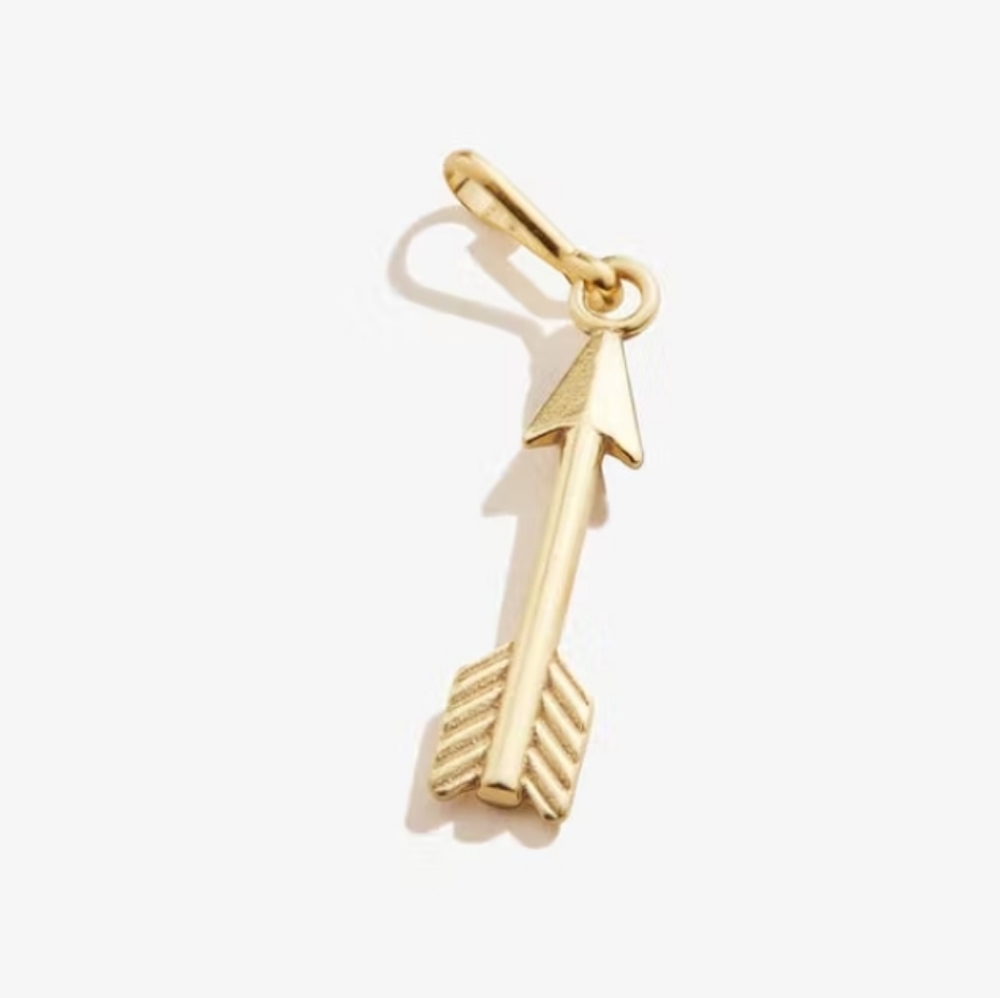 BRAND NEW - ARROW - Alex and Ani Charm